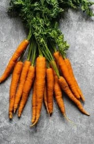 Zanahoria